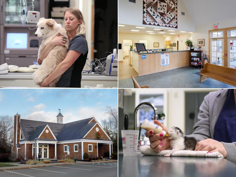 Harlingen Veterinary Clinic