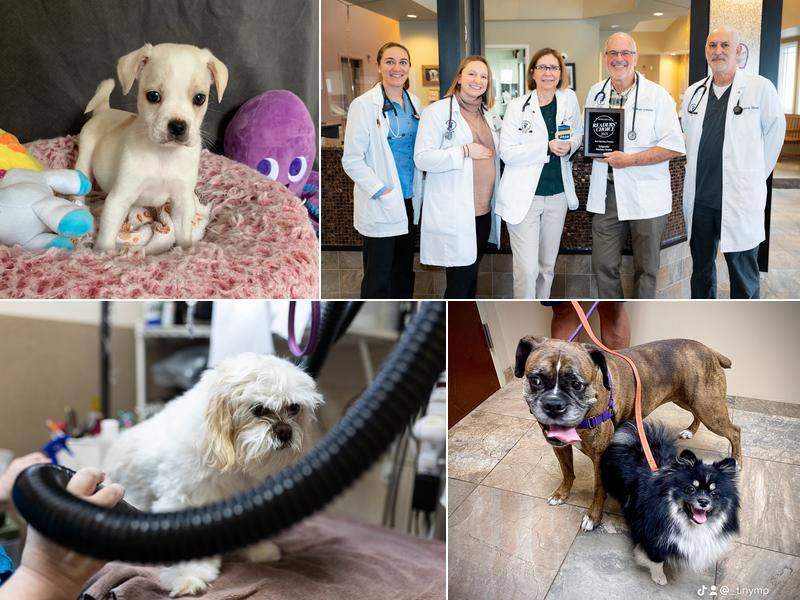 Bridgewater Veterinary Hospital