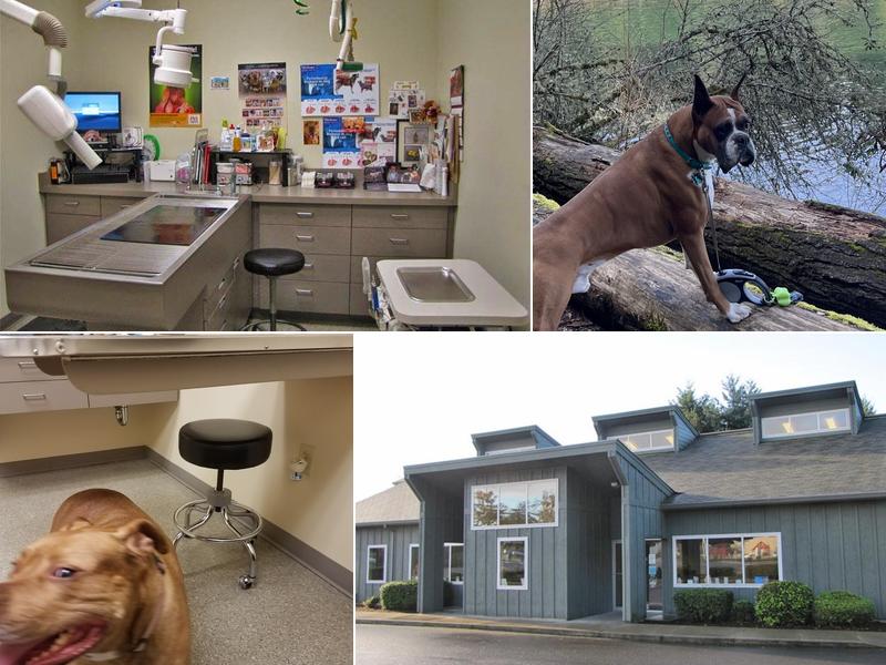Chambers Creek Veterinary Hospital