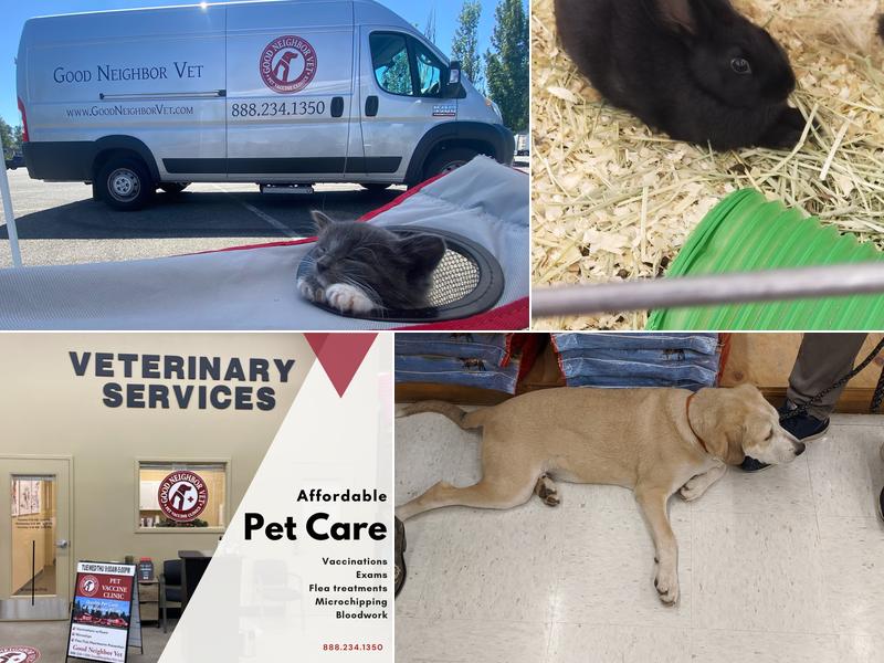 Good Neighbor Vet