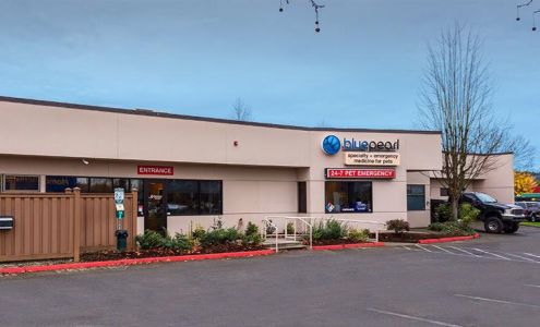 BluePearl Pet Hospital