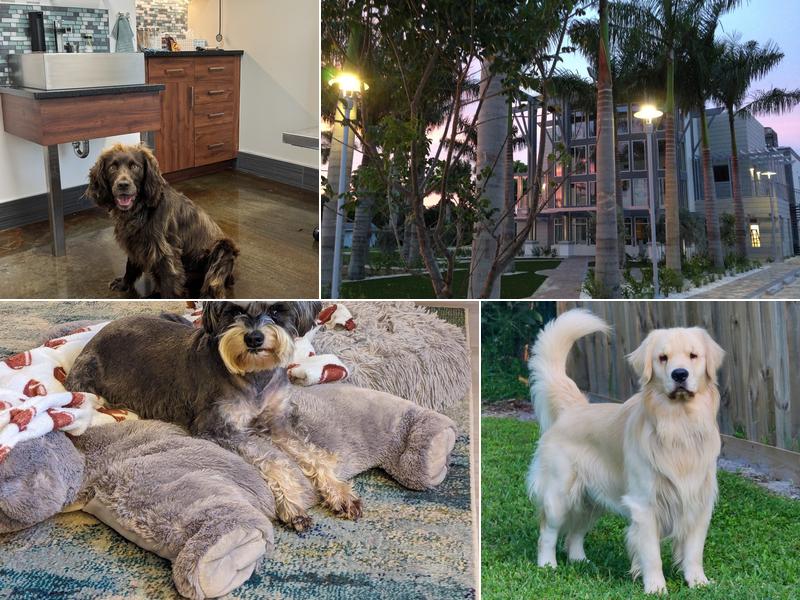 Mc Gregor Boulevard Veterinary: Jones Lura DVM