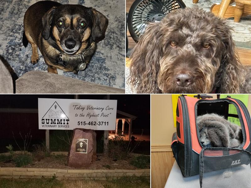 Summit Veterinary Services