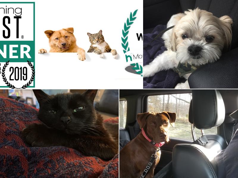 Patt Veterinary Hospital