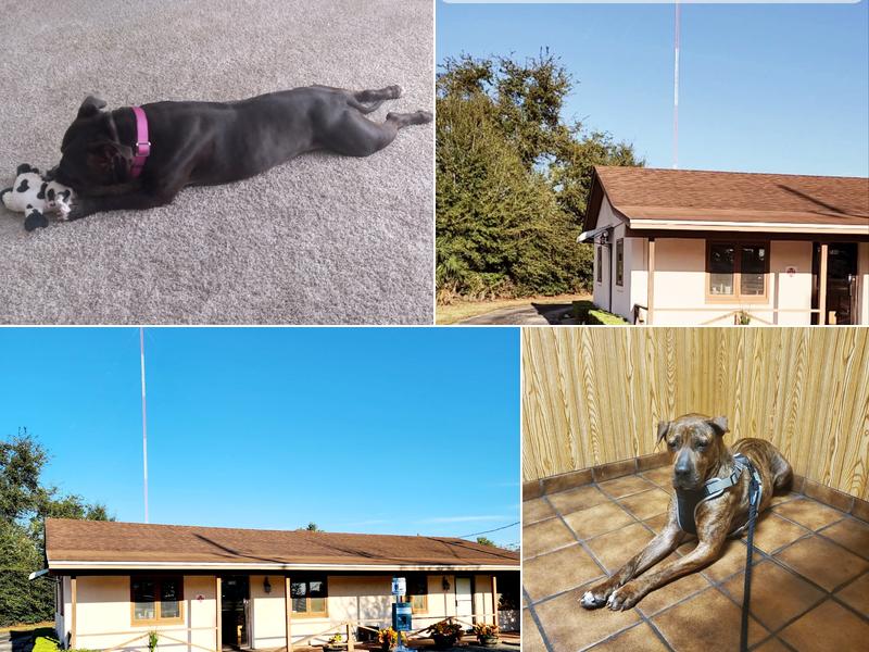 Ocoee Animal Hospital