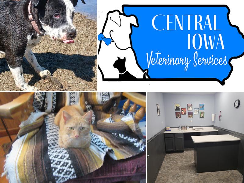 Central Iowa Veterinary Services