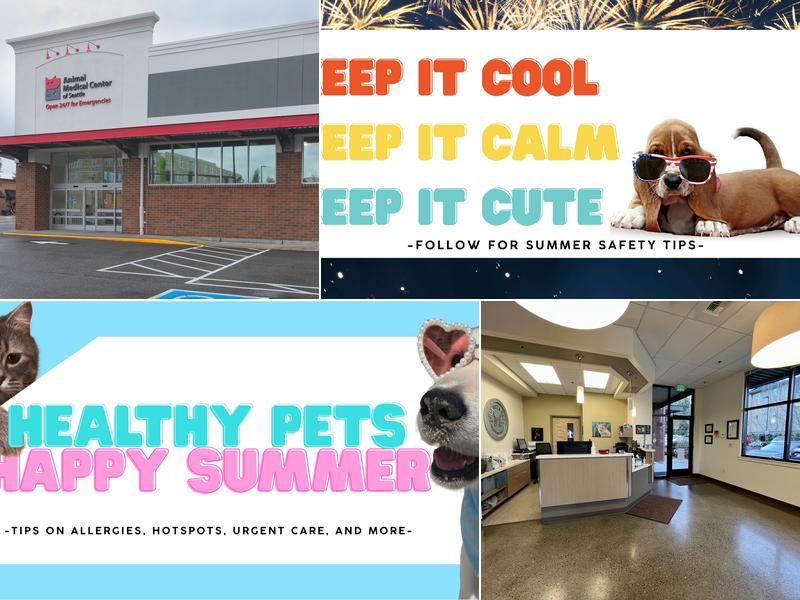 Juanita Bay Veterinary Hospital