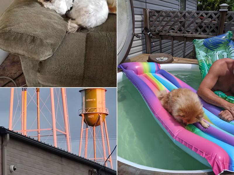 Veterinary Medical Associates