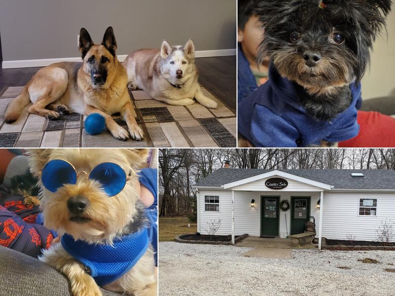 Country Side Veterinary Clinic