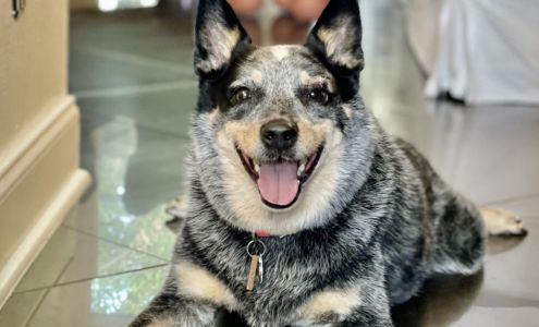 Animal Health Center