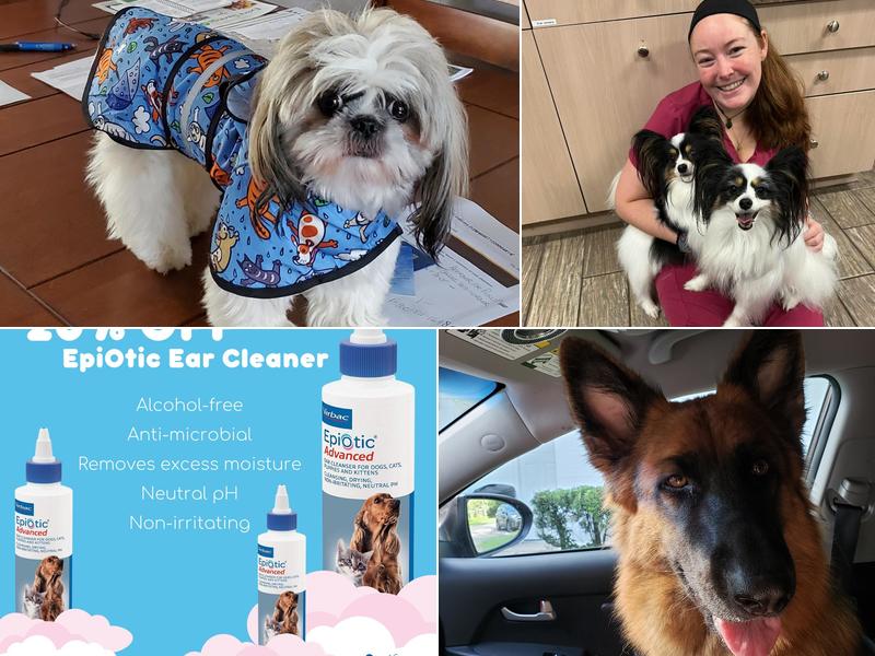 Newberry Animal Hospital Main St.