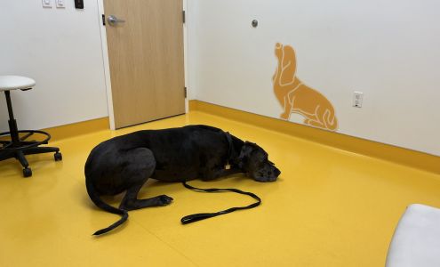 University of Florida Veterinary Hospital