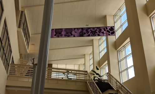 University of Florida: Small Animal Clinical Sciences