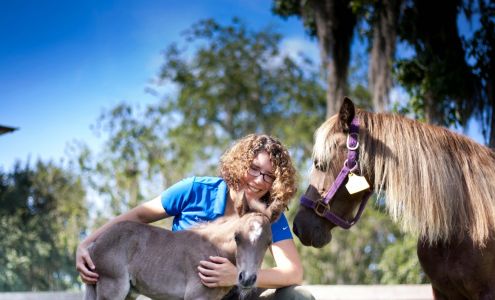 Large Animal Hospital, UF College of Veterinary Medicine