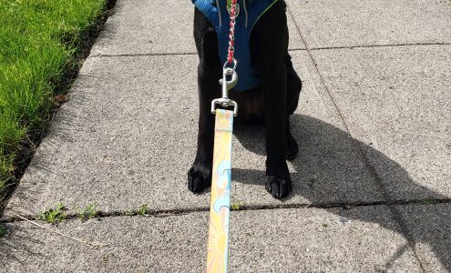 Hunter Veterinary Clinic