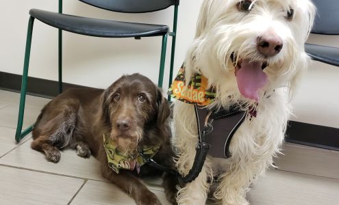 South Grand Veterinary Clinic