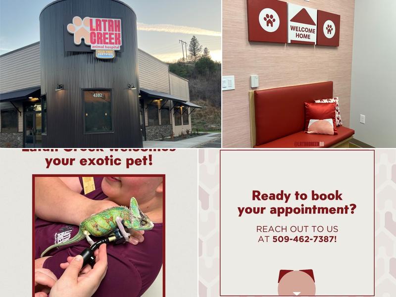 Latah Creek Animal Hospital
