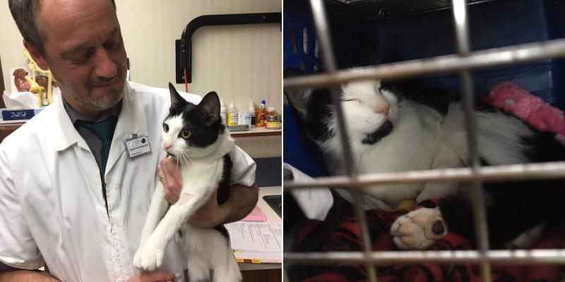 Five Mile Pet Clinic: Vernon S. Streeter DVM