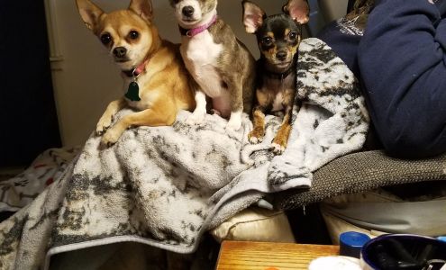 Spokanimal Spay and Neuter Clinic