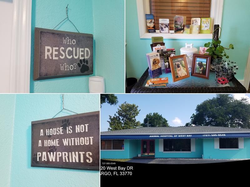 Animal Hospital of West Bay