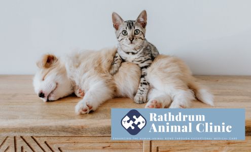 Rathdrum Animal Clinic