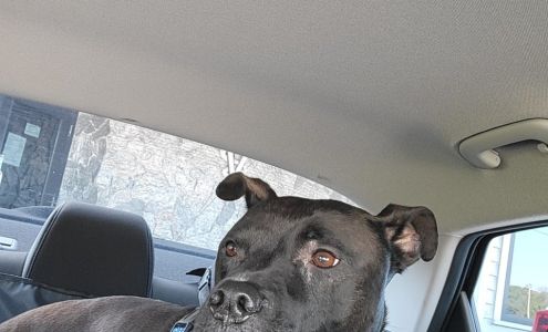 Animal Medical Clinic