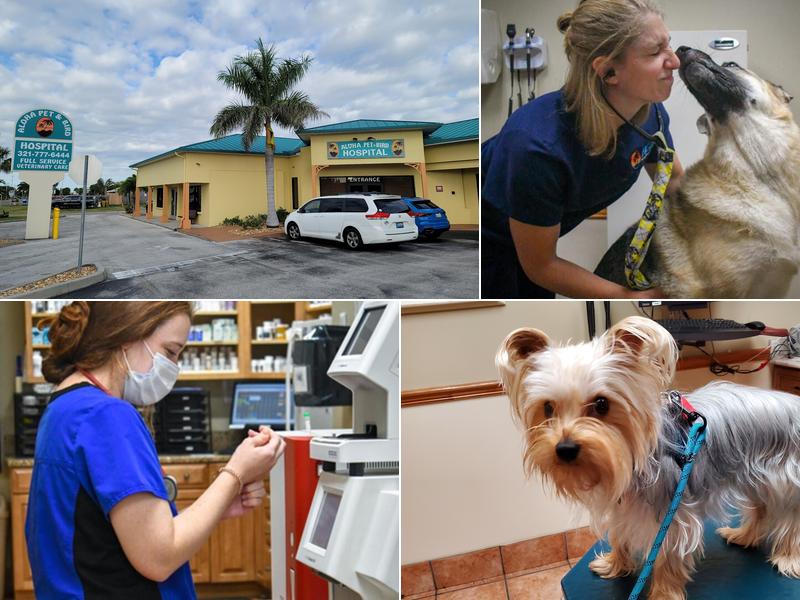 Aloha Pet & Bird Hospital