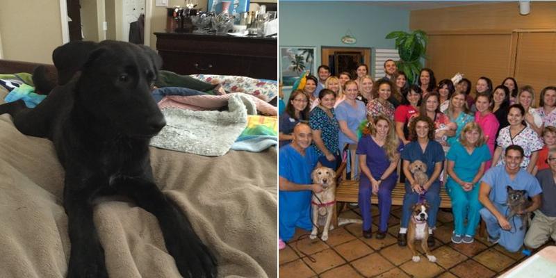 Aloha Pet & Bird Hospital: Danielle Becton, DVM