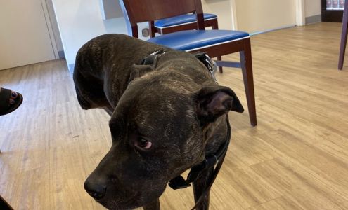 Heroes Spay & Neuter Clinic Fort Lauderdale