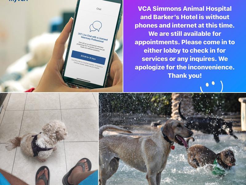 Simmons Veterinary Hospital: Aberwald Dawn M DVM