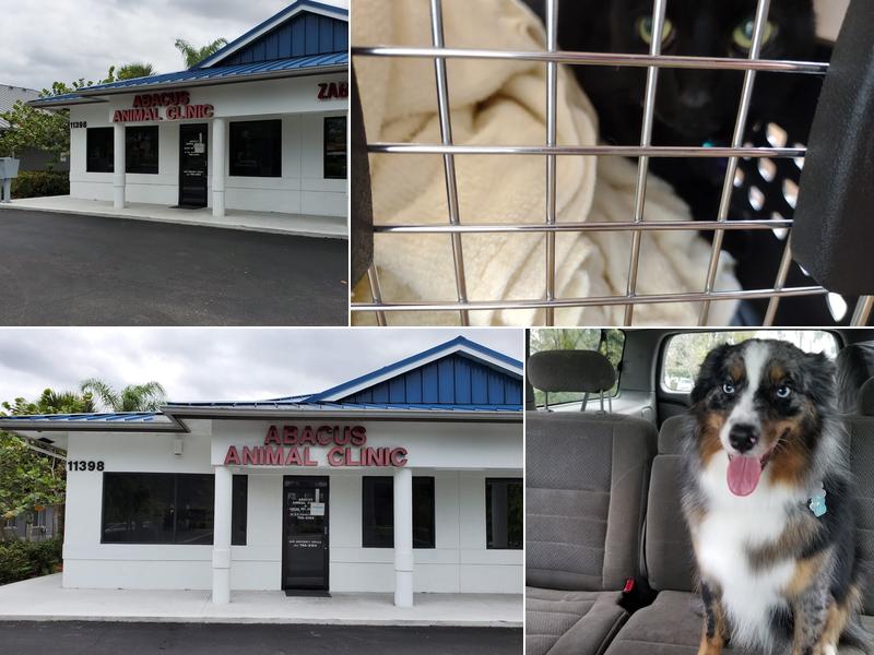 Abacus Animal Clinic