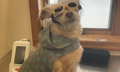 Smithfield Animal Hospital