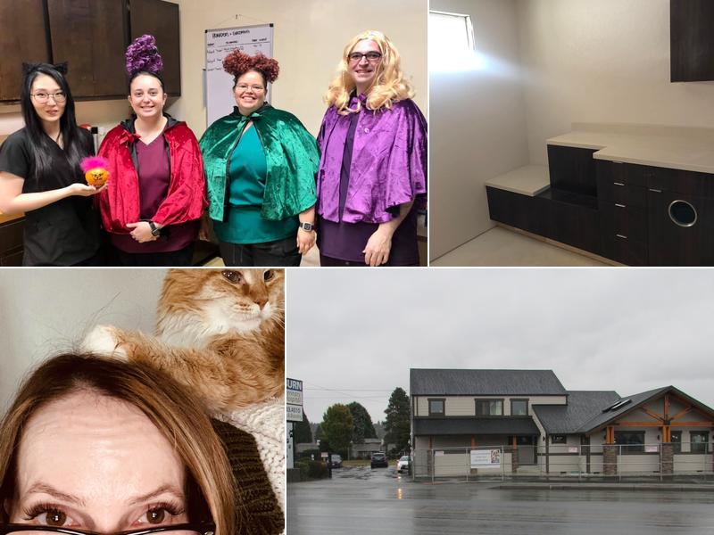 Auburn Veterinary Hospital Inc