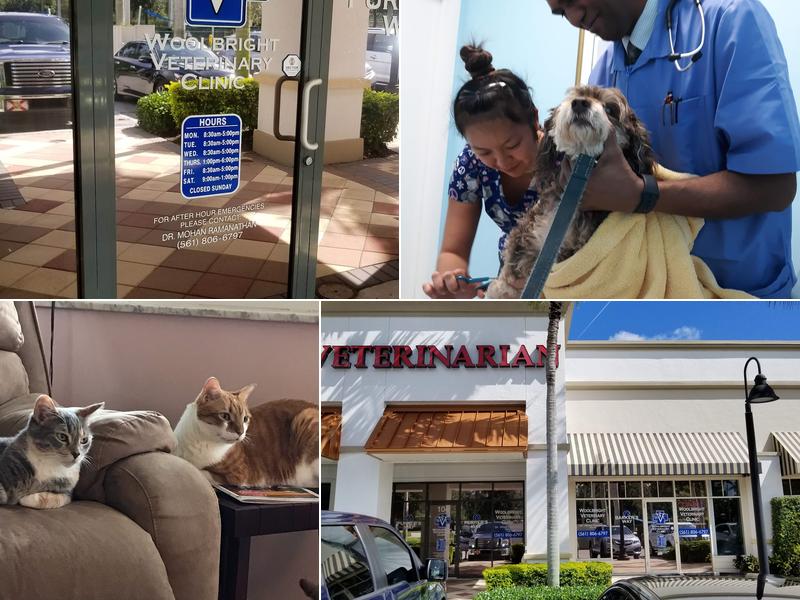 Woolbright veterinary clinic