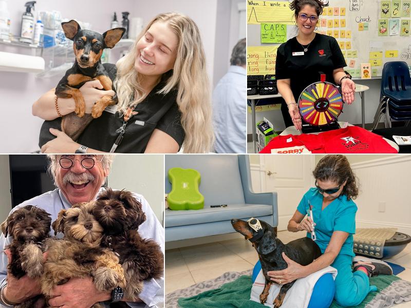 Calusa Veterinary Center: Krawitz Anthony DVM