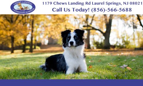 Chews Landing Veterinary Hospital 1179 Chews Landing Rd, Laurel Springs New Jersey 08021