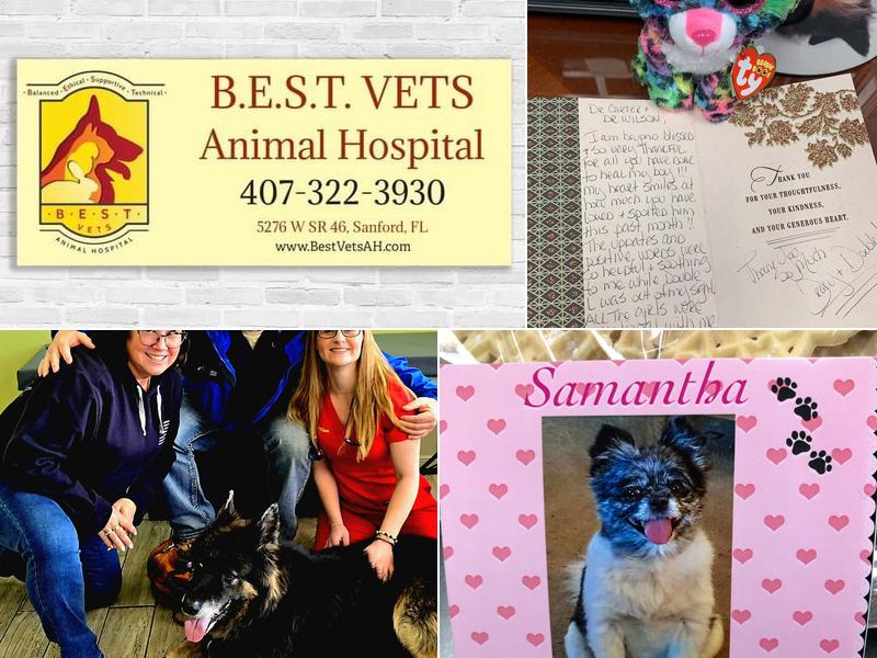 B.E.S.T. VETS Animal Hospital