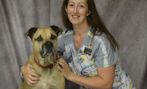 Basin Run Animal Hospital: Smetana Rhonda DVM Colora