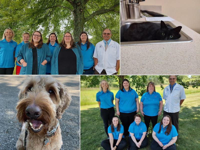 Animal Hospital of Union Grove