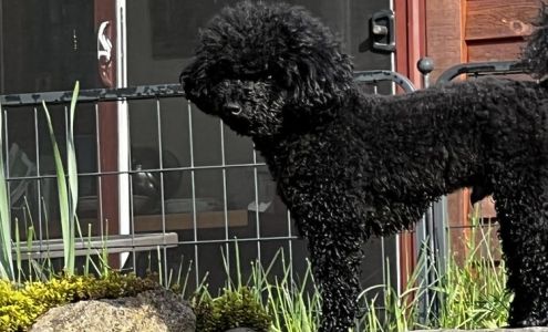 Eatonville Veterinary Clinic: Best Robert DVM Eatonville