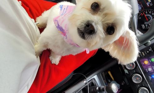 Eatonville Veterinary Clinic Eatonville