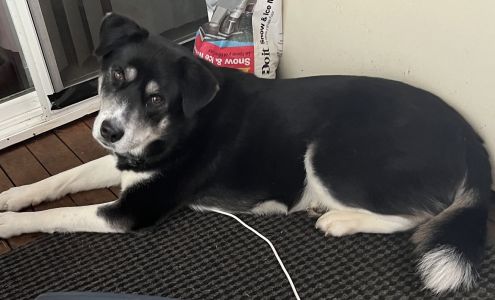 Mission Vet Clinic and Birth Control Center