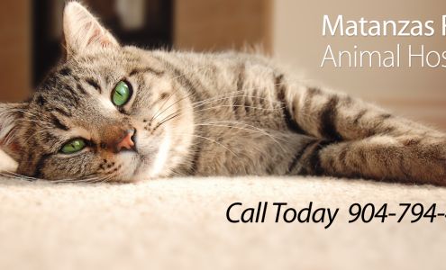 Matanzas River Animal Hospital St. Augustine
