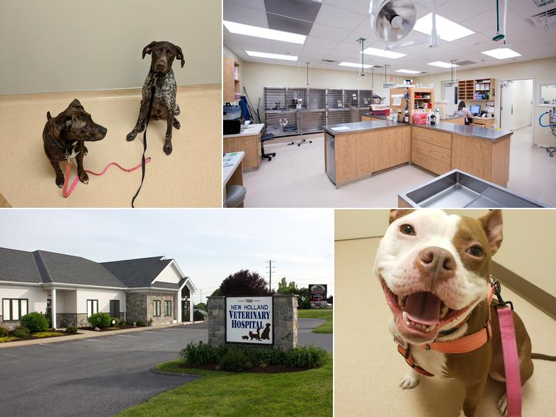 New Holland Veterinary Hospital LLC