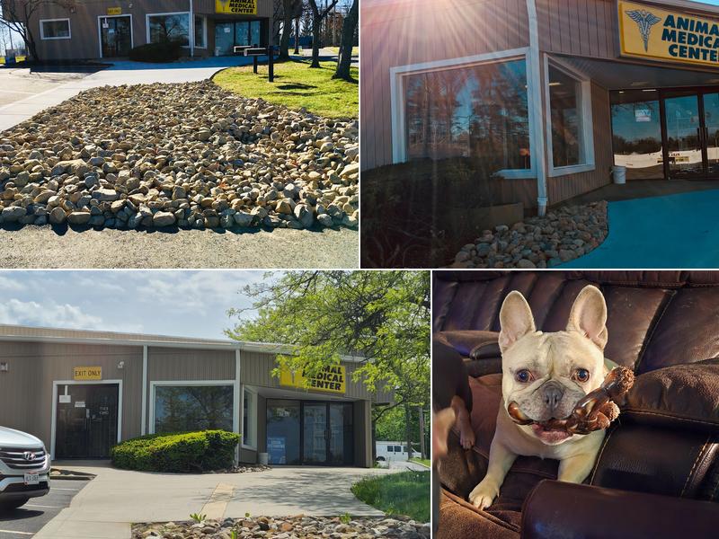 Animal Medical Center of Streetsboro, Inc.