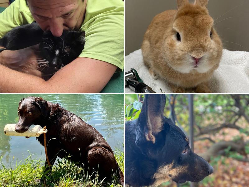 Animal Clinic of Chardon: Frankmann Wendy DVM