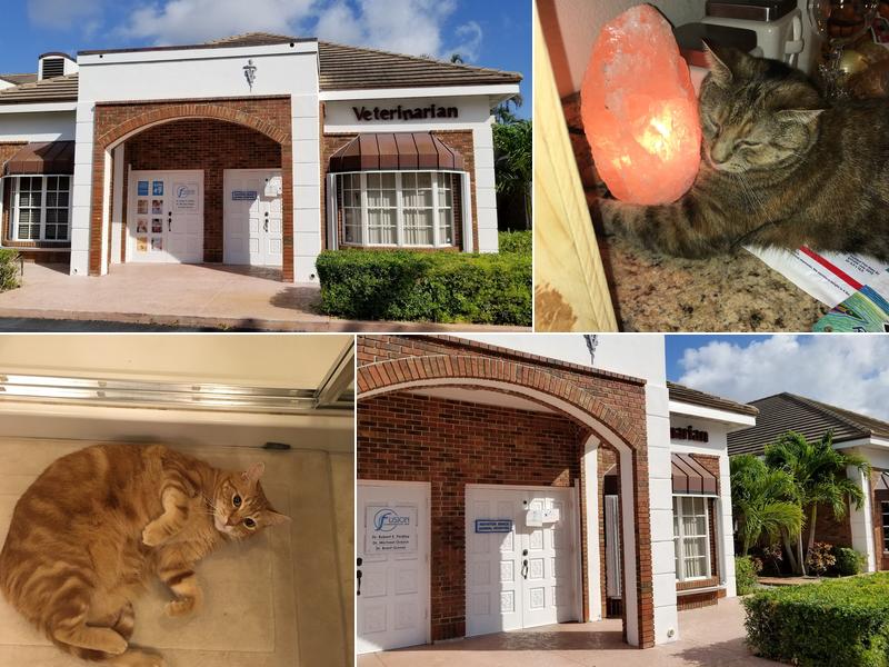 Boynton Beach Animal Hospital