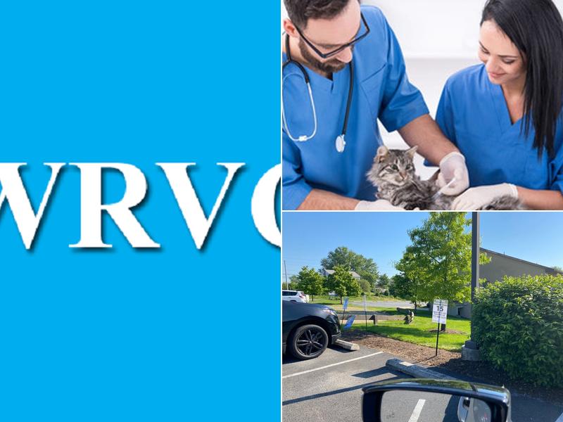 Jessica L. Latham, VMD