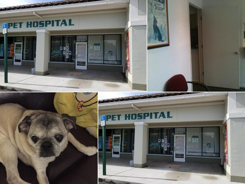 Androcles Veterinary Center