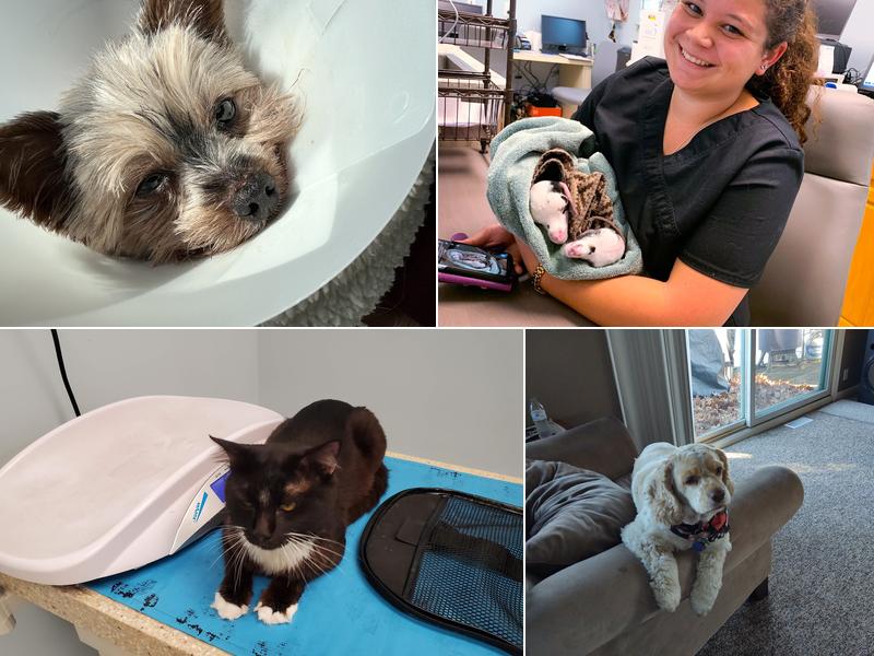 Van Roekel & Associates